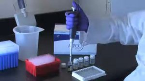 Pipetting Tips, Reverse, Forward Mode