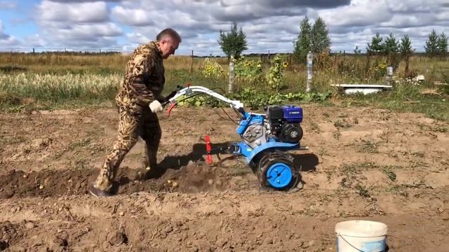 Собираем урожай картошки мотоблоком часть 2. смотреть онлайн