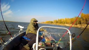 Windboat 42c