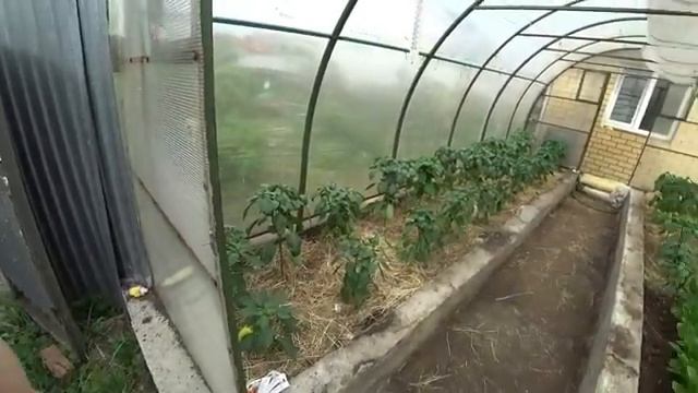 Проснулись от звуков дождя. Авиасимулятор. Кабина машиниста поезда. Пугало. Лазерный станок. смотреть онлайн