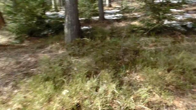 Чем я занимаюсь в марте на даче смотреть онлайн