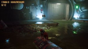 Достижения Stray - Территория