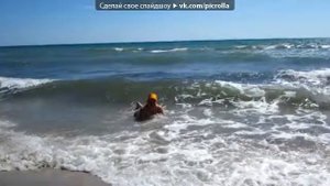 «Крым» под музыку Катя Чехова Море не просто вода Ты просто не видела моря Прибоя и плачущих ча