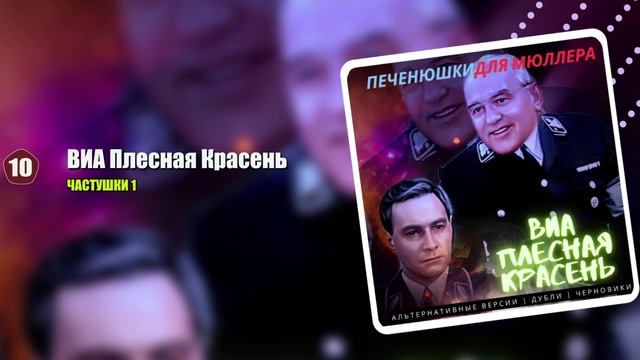 ВИА ПЛЕСНАЯ КРАСЕНЬ Печенюшки для Мюллера (1985-1995)