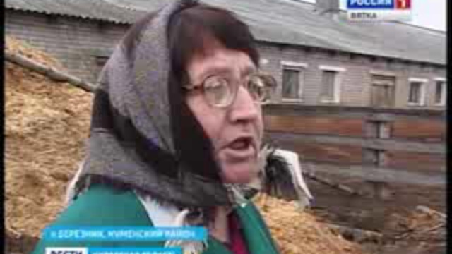 Круглогодичное содержание коров в вольерах(www.gtrk-vyatka.ru)