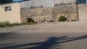 ваз 2101 копейка белая