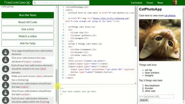 [22] Create a Set of Radio Buttons