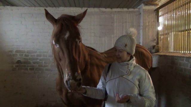 В гости к Берберу смотреть онлайн