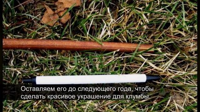 Как сделать простую изгородь быстро и без заморочек