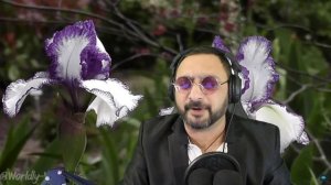 КАКОЙ Я ЕСТЬ ДРУГИМ УЖЕ НЕ СТАНУ