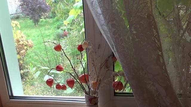 Качественно, красиво, недорого! Одежда для зимы и другие находки с сайта Грандсток смотреть онлайн