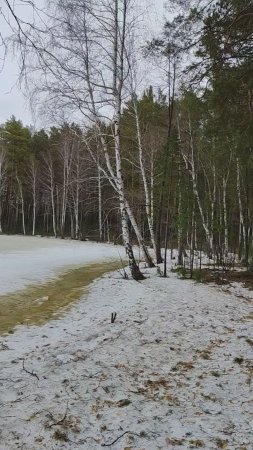 Апрельские зарисовки уральской природы