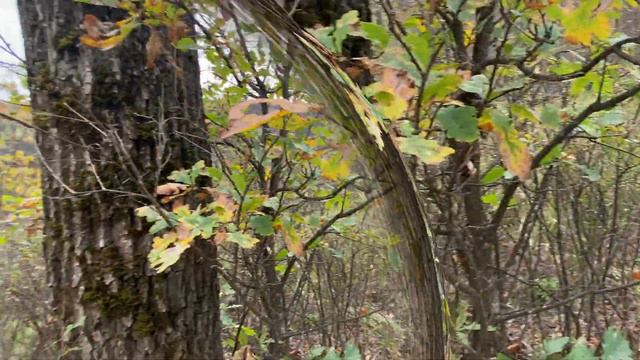 Розовые скалы. Ассы. Поход выходного дня