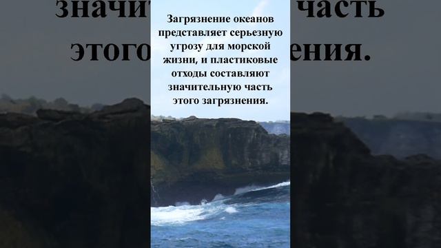 Интересные факты об океанах 🌊🌊🌊 #fact #интересное #факты #океан #спасемпланету