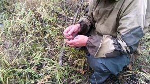 рыбалка в южной якутии осенью, часть 1