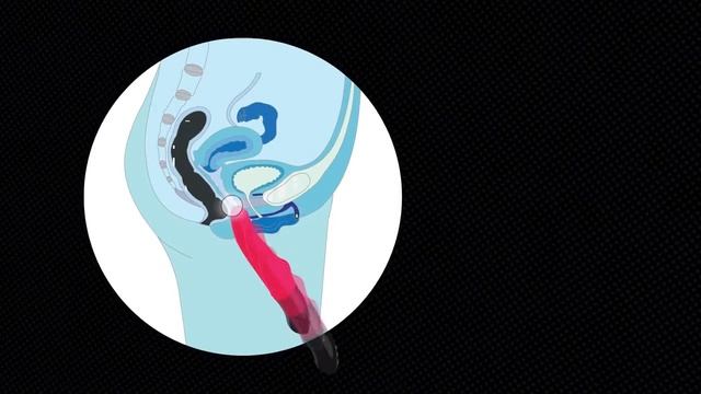 Пульсатор STRONIC EINS смотреть онлайн