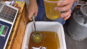 Мёд Эспарцет.  Мёд Алтая.  Один из самых лучших!