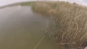 Охота на рыбу с луком