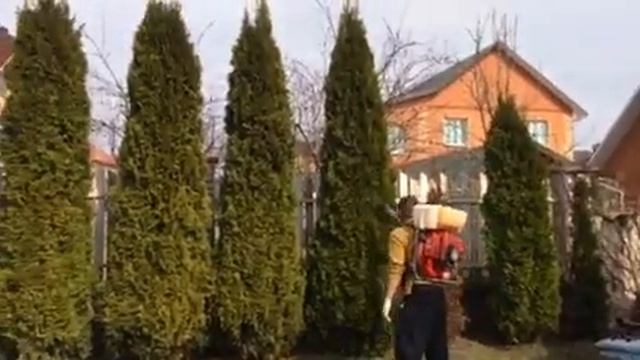 Опрыскивание растений химикатами