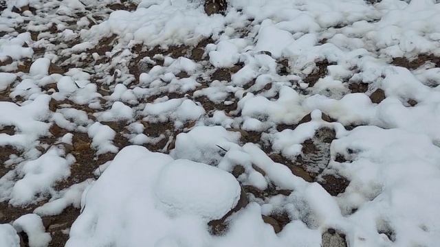 Охота на утку10))) смотреть онлайн