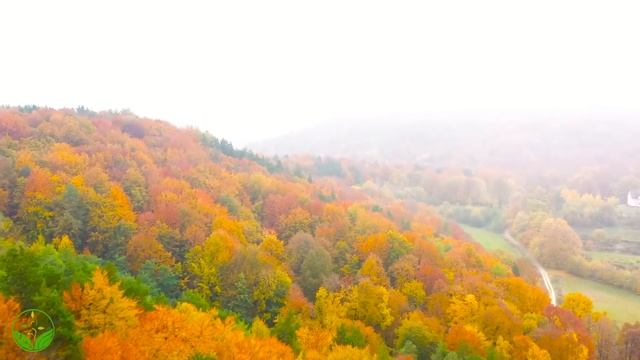 AUTUMN OCTOBER? Autumn Melody of Love ?Gentle music restores the nervous system satisfies the soul смотреть онлайн