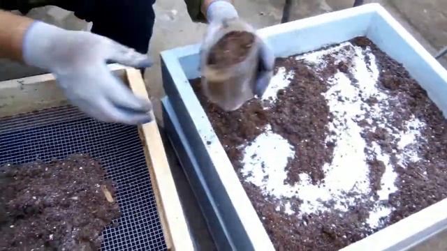 Подготовка субстрата для Дендробены. Ответы на вопросы подписчиков.