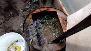 Травяной настой из травы с золой.  Подкормка для растений..