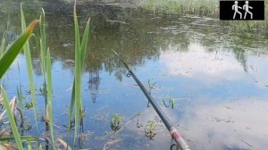 РЫБАЛКА НА ВОТКИНСКОМ ВОДОХРАНИЛИЩЕ 🎣🎣
