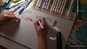 Скрайбинг. Этапы создания проекта.