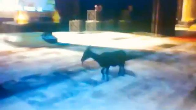 Что я смотрю всегда смотреть онлайн