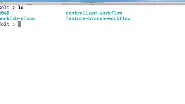 The Git & Github Bootcamp | P3: Installation & Setup смотреть онлайн