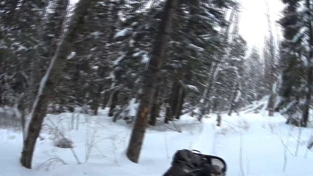 Тайга. Снег. Трофи. смотреть онлайн