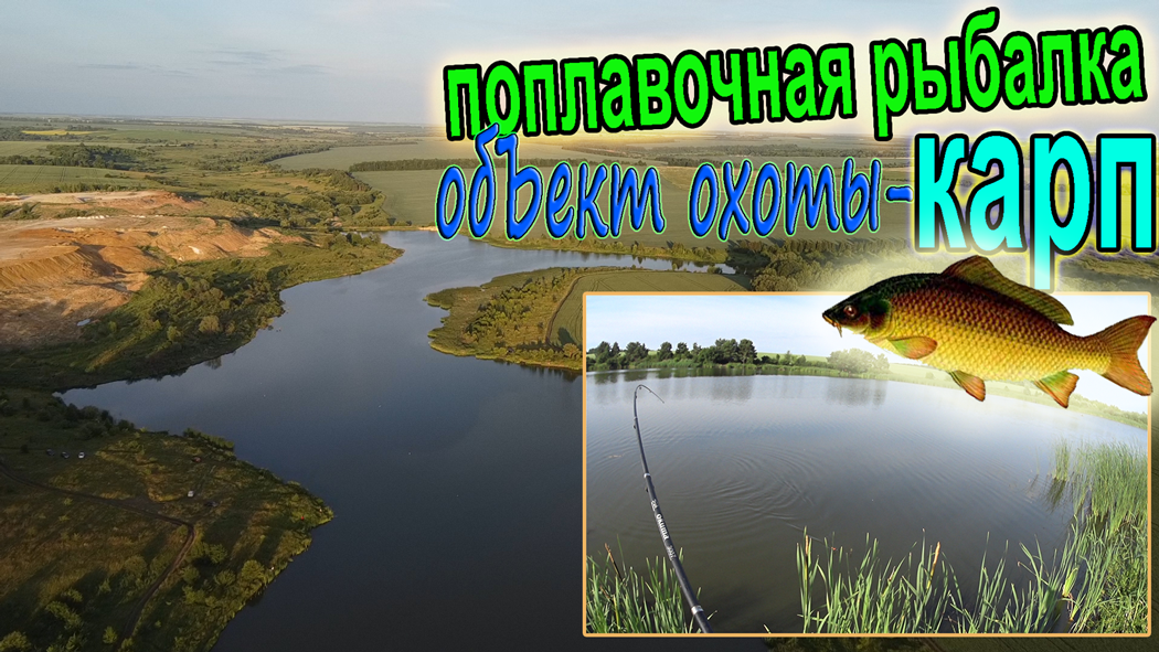 Рыбалка на поплавочную удочку, на кукурузу и горох! Охота на карпа! Много красивых поклевок карпят!