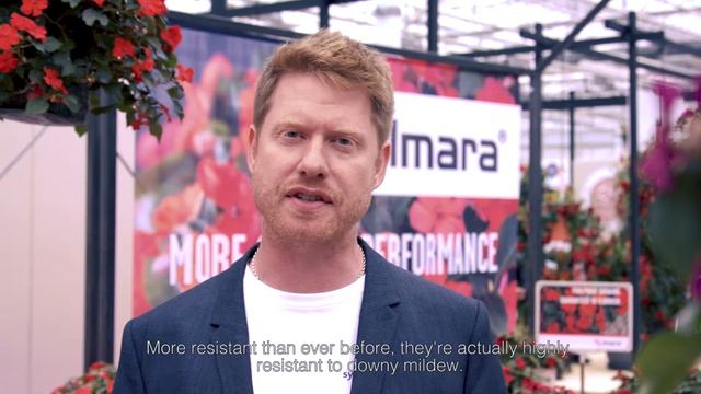 More Imara | Syngenta Flowers смотреть онлайн