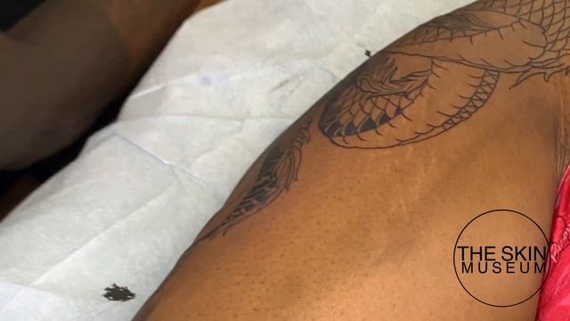 Lining and Shading Dragon tattoo on thigh смотреть онлайн