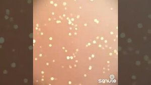 Вы слыхали как поют дрозды? Караоке