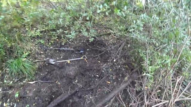 Копали пруд царских времен . Чего там только не было . смотреть онлайн