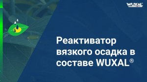 Реактиватор вязкого осадка в Вуксал