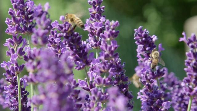 Музыка для сна ? Релакс?
( OST из кинофильма "Каникулы строгого режима") смотреть онлайн