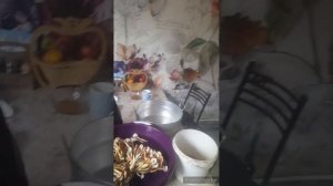 подарок от котов//тренировка//первые грибы//(9 месяцев назад)