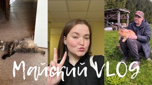 VLOG | майская поездка на дачу!