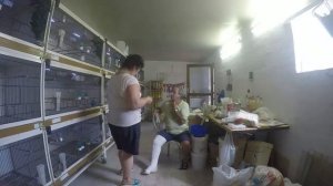 Наши птицы Уход в неволе поим кормим и так каждый день