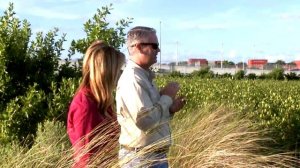 Wetlands Habitat at Port Everglades