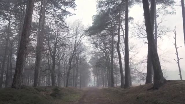 Зловещий стук смотреть онлайн