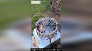 Перосъемная машина МП600 в работе