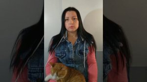 Как подобрать диагональ телевизора? Диагональ телевизора в комнату | Оксана Роднова