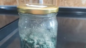 МОЖНО покупать! ПРОВЕРЕНО, триходерма живая!