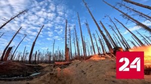 Российская армия отразила три атаки ВСУ на Времевском выступе - Россия 24 