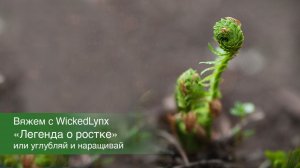 _ЛЕГЕНДА О РОСТКЕ_ или углубляй и наращивай