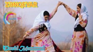 David Mammad - ZƏNQEYAR | Talış xalq mahnısı | Talysh folk song | Талышская народная песня